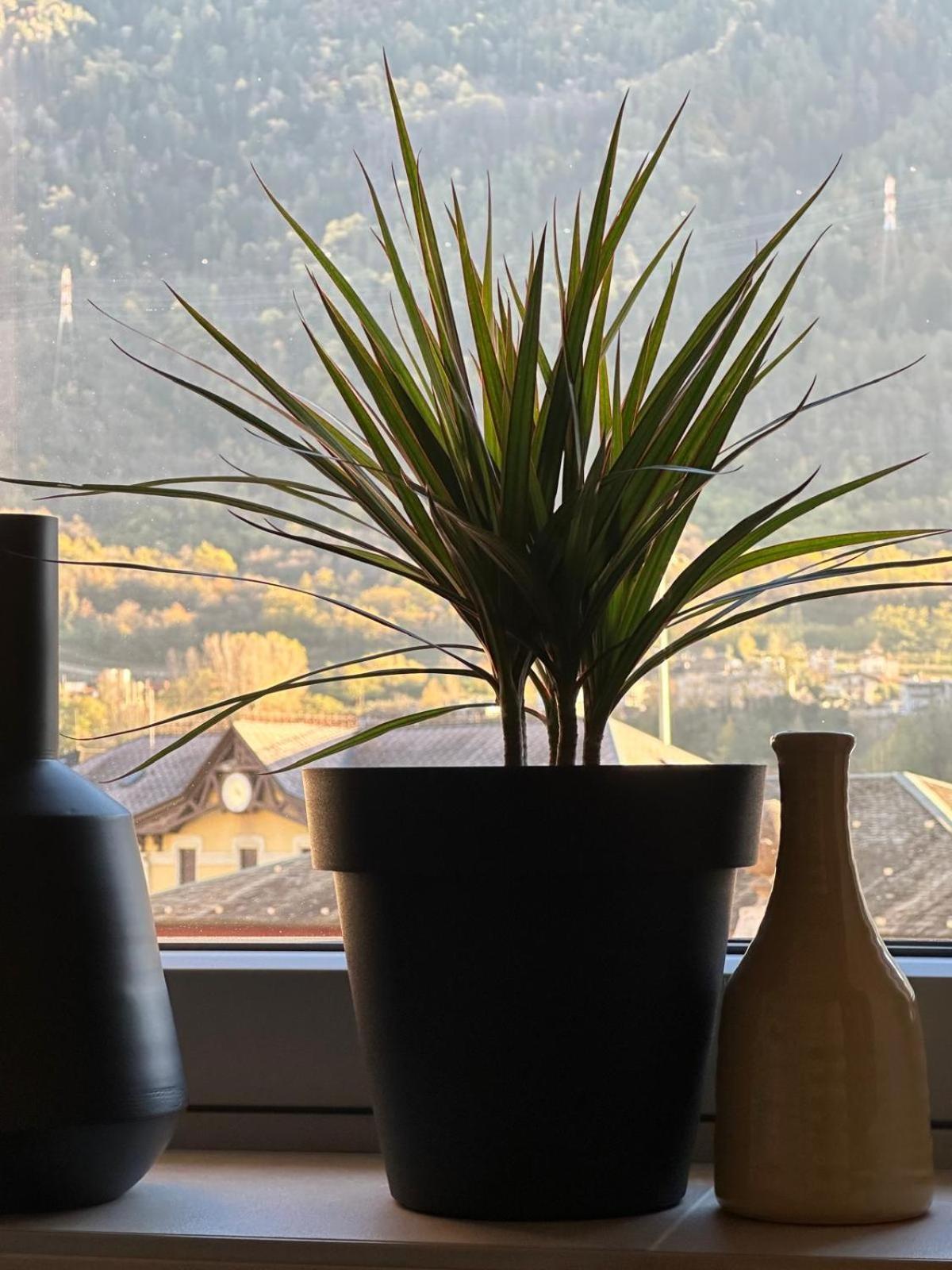 Terra Hotel Boutique Tirano Εξωτερικό φωτογραφία